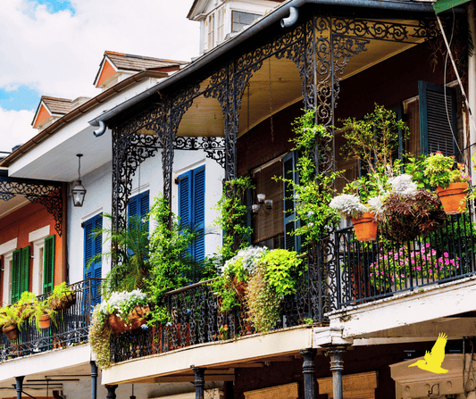 The French Quarter