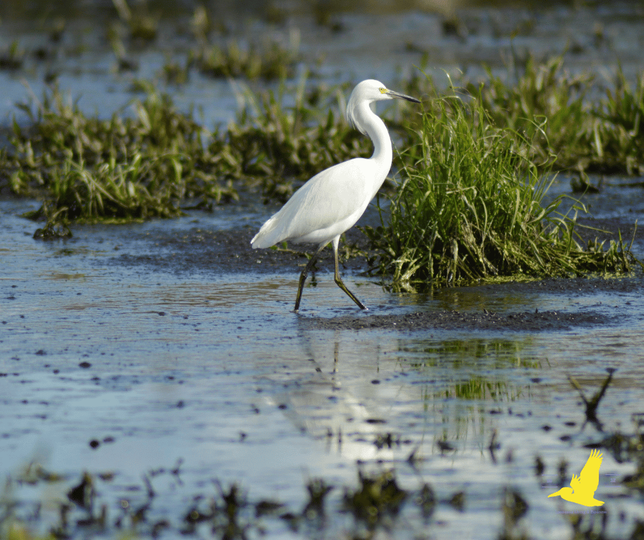 Catahoula Parish, Louisiana
