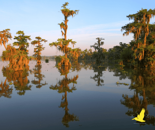 Legendary Louisiana