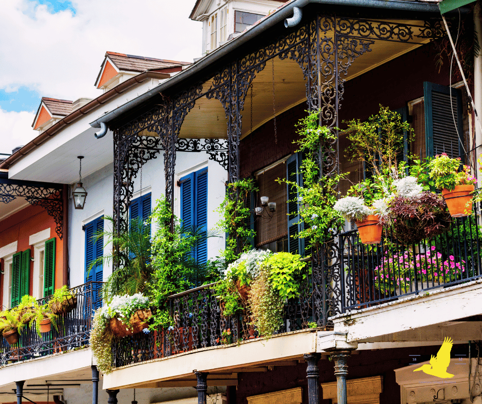 The French Quarter
